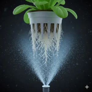 Close-up view showing the high-pressure mist delivering nutrients directly to the plant roots in an aeroponics system.