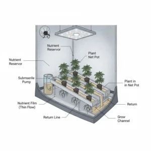 Image showing the Nutrient Film Technique (NFT) system, detailing how the thin layer of nutrient solution flows past the plant roots, an option for the best hydroponic system for weed.