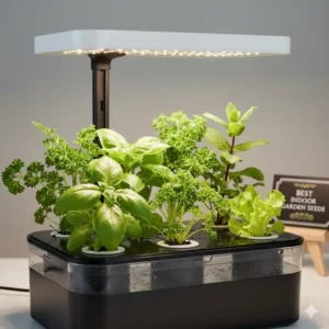 A crisp, fresh harvest of gourmet lettuce grown in an Aerogarden, proving the high quality and flavor of the best aerogarden seeds salad mixes.