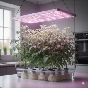 A panel of efficient LED grow lights positioned above the plants, providing optimal spectrum illumination for the indoor tomato growing system.