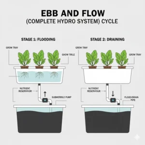 An infographic explaining the flood and drain mechanics of an Ebb and Flow complete hydro system.