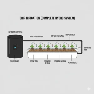 Close-up illustration of the irrigation lines and emitters in a drip-based complete hydro system.