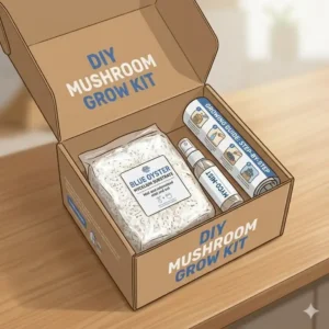 Overhead view of a diy mushroom grow kit including substrate block and spray mister.