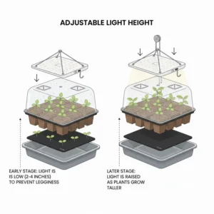 Educational graphic showing how to adjust the LED panel on a seed starter kit with light for optimal growth.