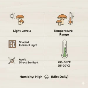 A guide on the ideal temperature and light settings for a successful chanterelle mushroom growing kit.