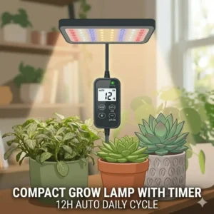 Compact indoor garden setup with succulents under a small grow lamp with timer.