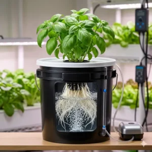 Detailed view of white plant roots growing inside a hydro dwc system with air bubbles.