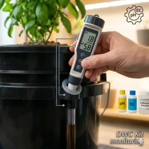 Using a pH and EC meter to maintain the nutrient solution within a deep water culture kit.