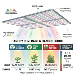 A technical distance diagram demonstrating the recommended canopy coverage and hanging height for the best weed grow lights during all growth phases.
