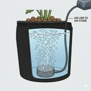 An illustration of the aeration system and air stone inside hydroponic grow buckets providing oxygen to roots.