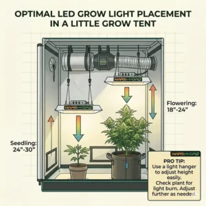 An illustration demonstrating the correct hanging height for LED lights above plants in a little grow tents.