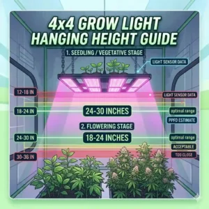 Diagram showing the recommended hanging heights for a 4x4 grow light during seedling and flowering stages.