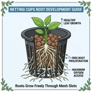 Illustration showing how plant roots grow freely through the slots of netting cups.